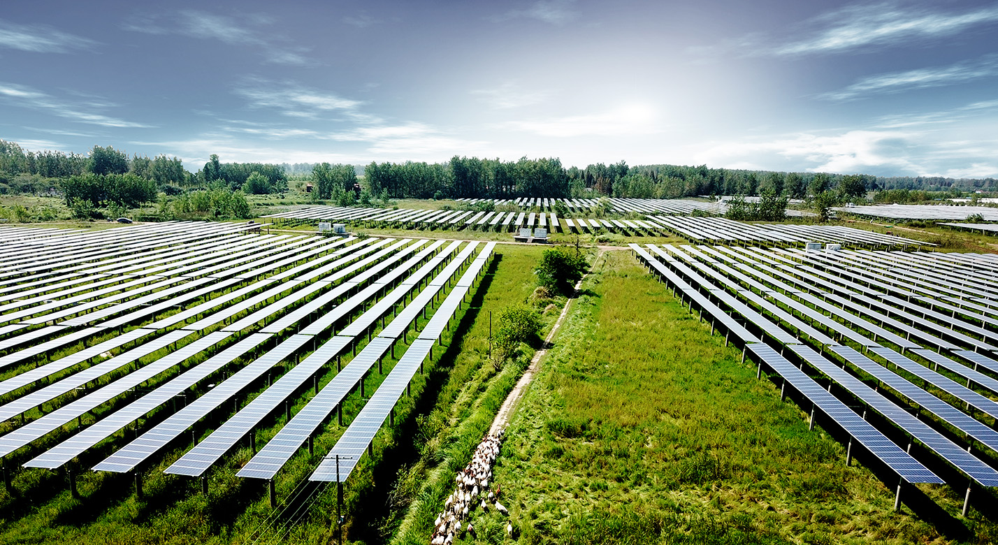 浙江合大漢川脈旺30MWp農光互補光伏電站EPC總承包